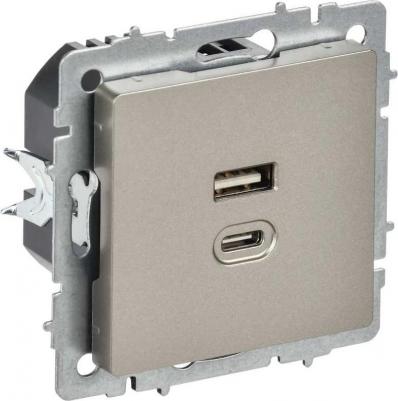 BRITE Розетка USB A+C 45Вт высокоскоростная зарядка РЮ11-2-БрШ шампань, цена за 1 шт