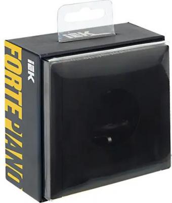 FORTE&PIANO Розетка 1-местная с заземлением без защитных шторок винтовое крепление 16А FP116 черный, цена за 1 шт – фото 1