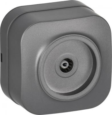 GLORY Розетка для открытой установки TV РТВ20-ХСм сталь матовый, цена за 1 шт