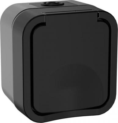 Розетка 1-м ОП TORS 16А IP55 TS120 с заземл. с крышкой графит TS-R16-16-55-K53