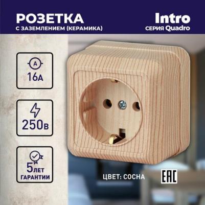 2-202-11 Розетка Quadro 2-202-11 с заземлением 2P+E Schuko, 16А-250В, IP20, ОУ, сосна, цена за 1 шт – фото 2