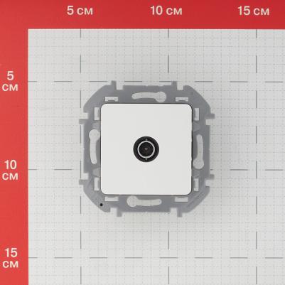 Розетка TV INSPIRIA 3414972008983 – фото 2