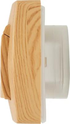 Розетка двойная встраиваемая Blanca 16 А IP44 цвет ясень – фото 5