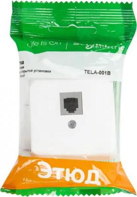 ТФ-розетка Этюд TELA-001B – фото 5