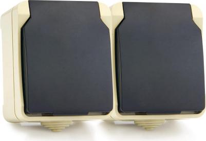 Двухместная розетка Сатурн