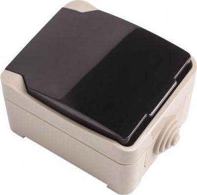 Одноместная розетка Сатурн – фото 1