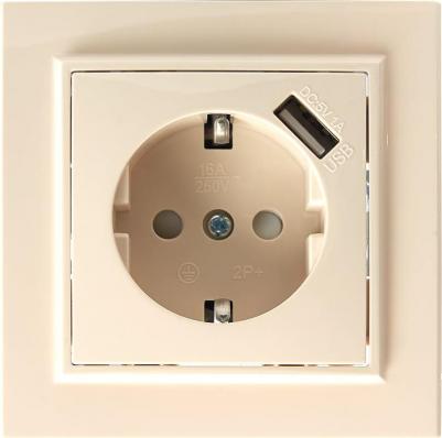 Розетка 1-местная с/з с защитной шторкой и с USB, серия Эрна, PST16-9011-02, слоновая кость, цена за 1 шт – фото 1