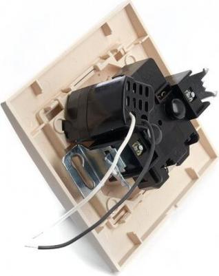 Розетка 1-местная с/з с защитной шторкой и с USB, серия Эрна, PST16-9011-02, слоновая кость, цена за 1 шт – фото 2