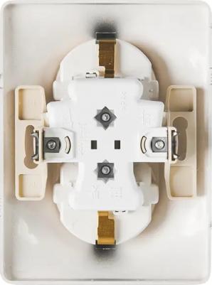 Розетка Schneider GLOSSA GSL000326СУ, 2-местная – фото 1