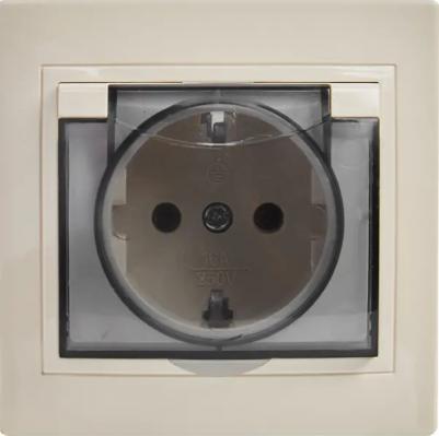 Розетка 2П+З SQ1814-0119