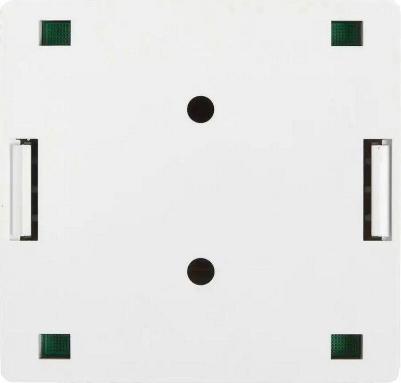 Настенная розетка SM2-4545-WH – фото 2