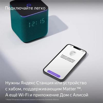 Умная розетка с Алисой YNDX-00540WHT белый – фото 4