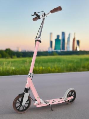 NL 205 – фото 6