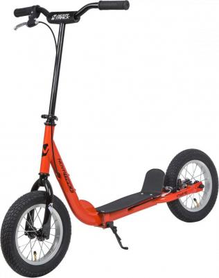 Jungle – фото 13