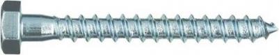 Оцинкованный сантехнический шуруп 10х70 DIN 571 2 шт – фото 1