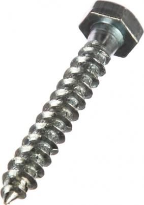 Шуруп-глухарь Шуруп глухарь с шестигранной головкой 6x40, 10 шт. 4607173901163