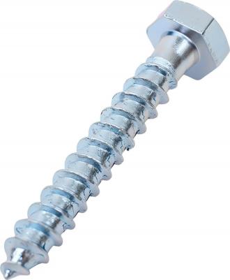 Шестигранный оцинкованный шуруп 6x40 мм, DIN571, 10 шт. SMZ1-59711-10