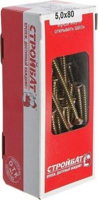 Саморезы универсальные желтые 5,0х 80,100 шт – фото 4