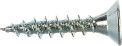 Саморез 5,0х25 14 шт 4620767605568 – фото 1