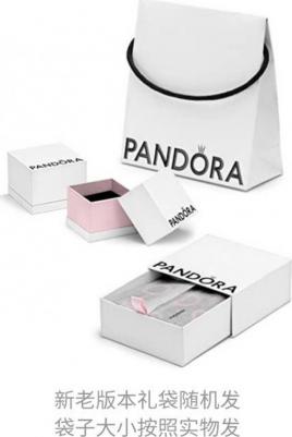 290570CZ – фото 3