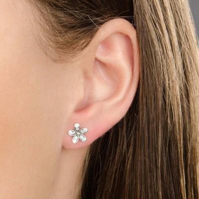 290570CZ – фото 5