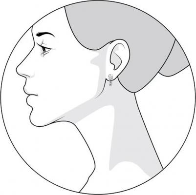 94021097 – фото 2