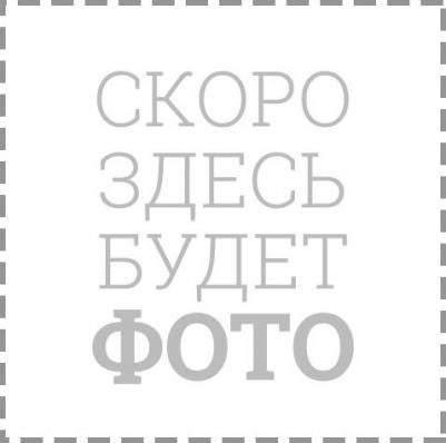 DS-N204P – фото 3