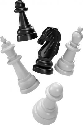 Шашки, шахматы, нарды – фото 14