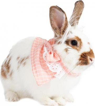 Воротничок для кроликов розовый M 4680368296176 – фото 2