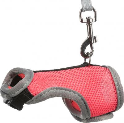 Шлейка для грызунов жилетка для крысы 12-18см/1,20м – фото 4