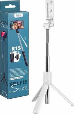 R1S – фото 1