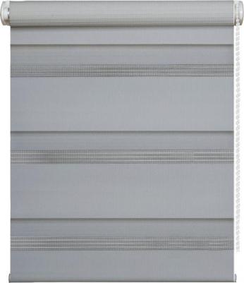 Рулонная штора День-Ночь 4601000751907 – фото 1