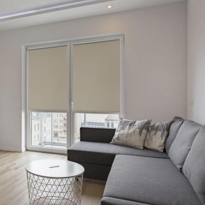 Рулонная штора Блэкаут Плайн Мини 4601333051354