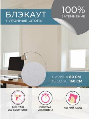 Рулонная штора Блэкаут Плайн Мини 4601333100267 – фото 2