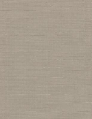 Рулонная штора 120х160 ЛЕН СРШ-01МЭ-2404 серый