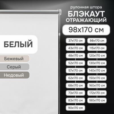 Рулонная штора Blackout 4690617235399