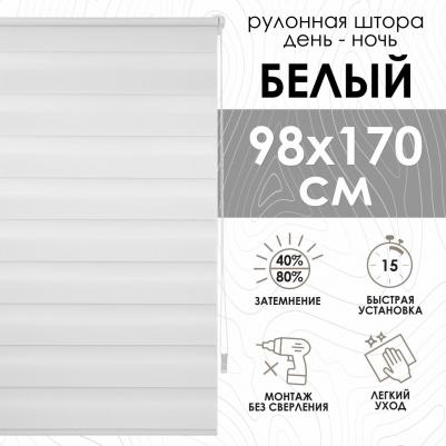 Рулонная штора Миниролло День-Ночь Белый 98х170 см – фото 1