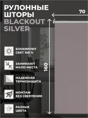 Рулонная штора Blackout Silver 4620007792096 – фото 1