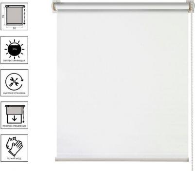 Штора рулонная 62.РШТО.7501.070х175 70x175 см белая