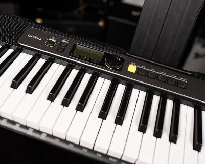 LK-S250 – фото 13