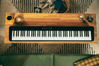 PX-S3100 – фото 4