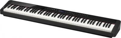 PX-S3100 – фото 8