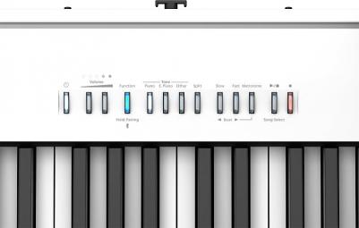 FP-30X-WH – фото 4