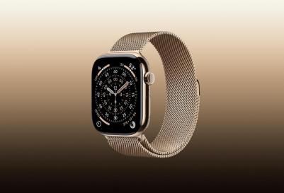 Watch Series 11 46 mm Gold Titanium Case with Gold Milanese Loop – фото 1