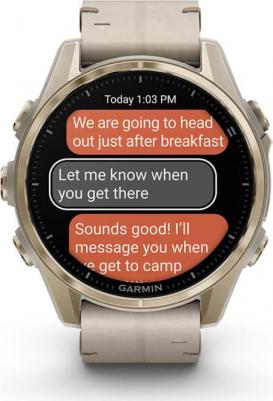 Fenix 8 Amoled Sapphire 43 mm, Stainless Steel Case, Leather Gray – фото 2