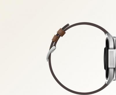 Watch GT 5 46 mm, Leather Brown – фото 4