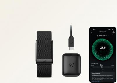 Peak 5.0 – фото 11