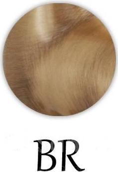 Royal Palace BS1-02-MS – фото 1