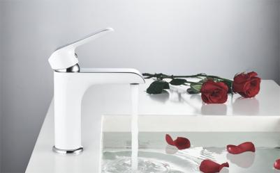 R2101F – фото 3