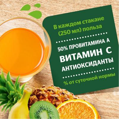 Нектар мультифрутовый 1 л – фото 12